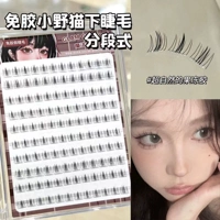 10 рядов без безклетных ресниц с диким котом (сохранить и купить золотые перьевые зажимы)