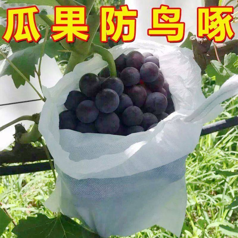 水果套袋防鸟通用瓜果防虫网袋无花果枇杷葡萄桃子草莓透气专用袋