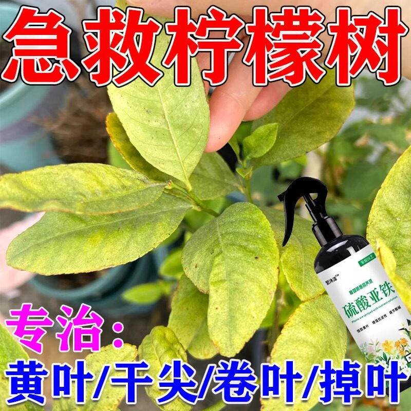 柠檬树肥料香水柠檬专用肥防叶子发黄掉叶卷叶干枯促花保果营养液