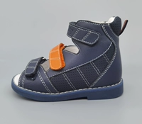 L1229-3-1 Сампе-голубой апельсин