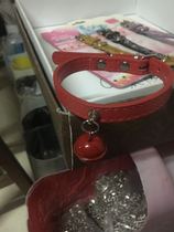 bell collar cat dog collar pet supplies