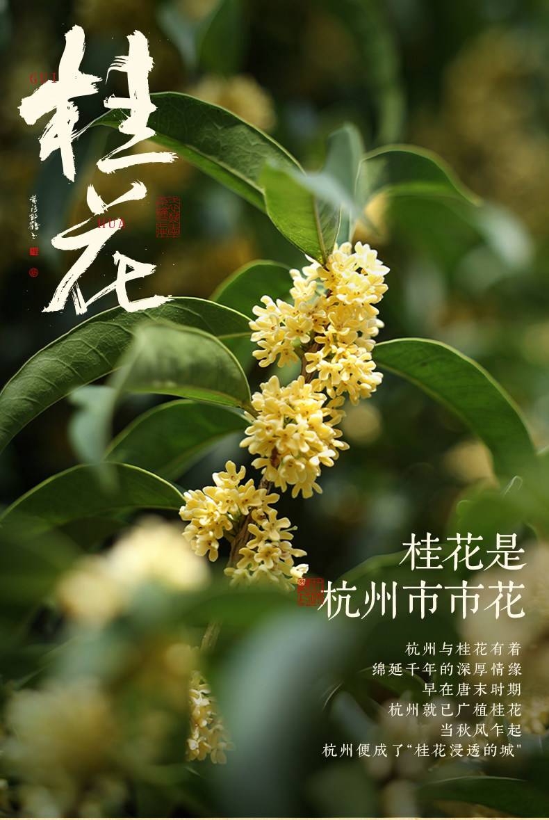 Zhiweiguan Floating Jade Osmanthus Cakes 100g (4 pcs)