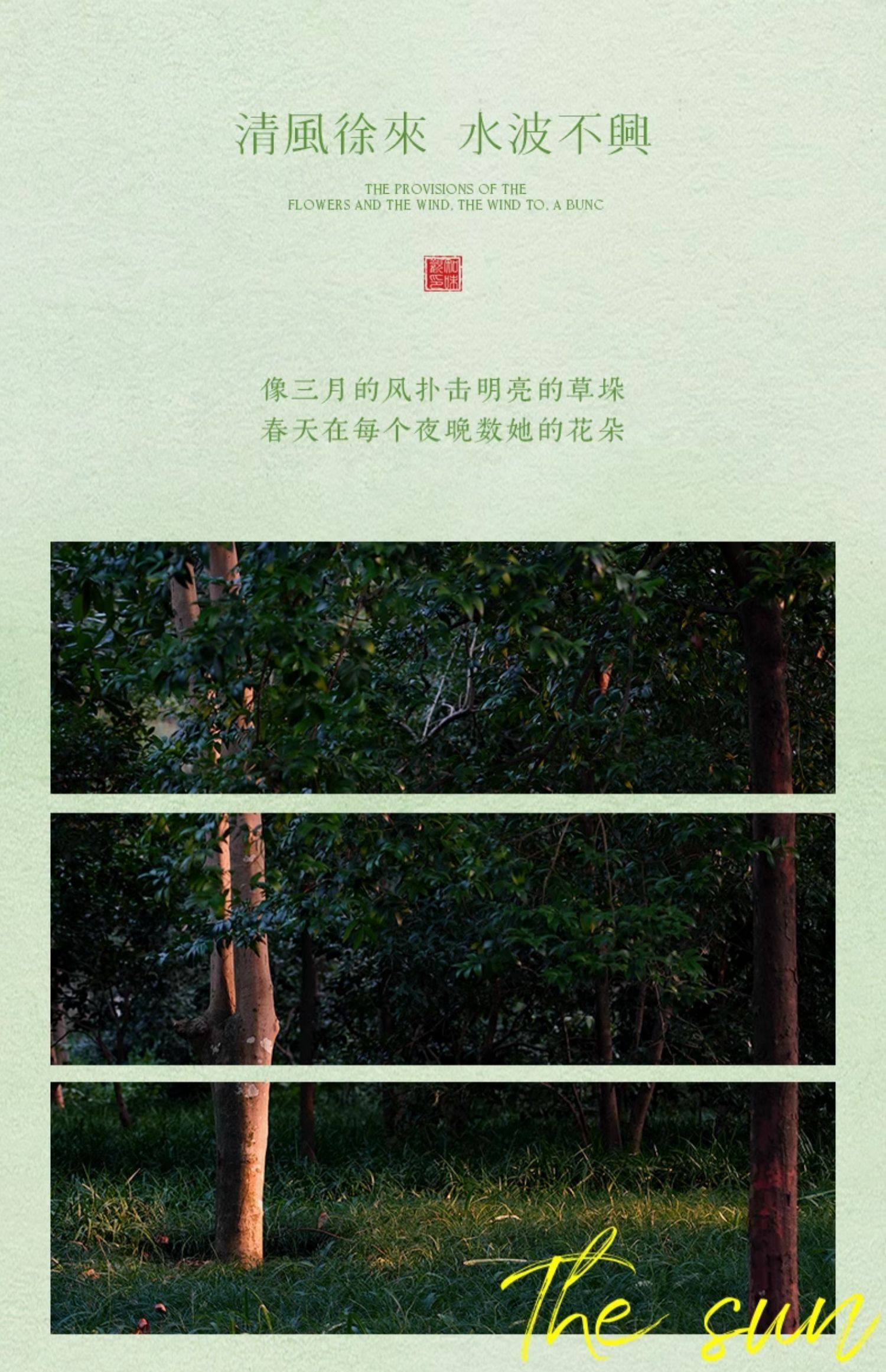 【中國直郵】知味觀 龍井茶酥茶餅 綠茶傳統糕點心 中秋月餅 龍井茶酥-綠茶味120g(30g*4只裝)