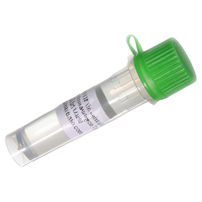 Rat Tail Collagen Type I Can Replace Sigma's Similar Product for Dust-Free Three-Dimensional Collagen Cell Culture Experiments
