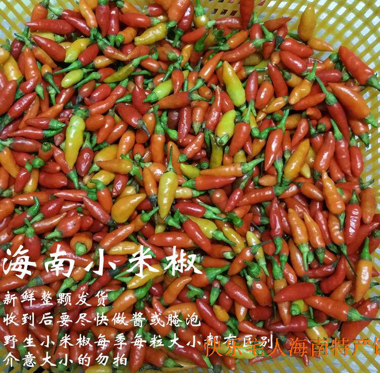 Hainan fresh millet pretzels 1 catty now remove the hair special spicy notes of spicy and tasty peppers and pretzels with pretzels and hot pot