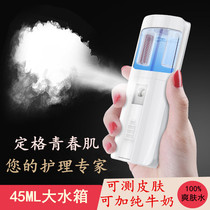 Large Capacity Face Cold Spray Water Replenishing Instrument Facial Care Moisturizing Steamed Face machine Charging Bao Handheld carry home RY