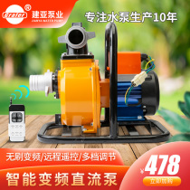 Large flow agricultural farmland irrigation pump small battery car battery 48V60V outdoor watering water pump