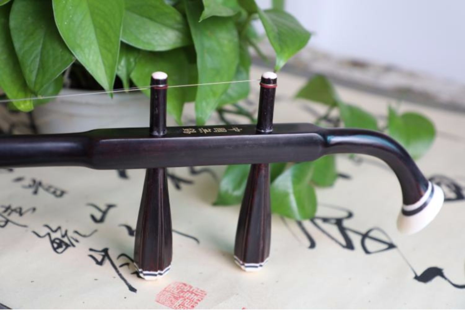 Ancient Moon Erhu Wanqatte Erhu Factory Direct Redwood Professional Chơi Golden Flower Suede Nhạc cụ - Nhạc cụ dân tộc mua đàn tỳ bà