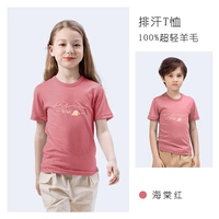 Красные короткие рукава бегонии в горах и дикой