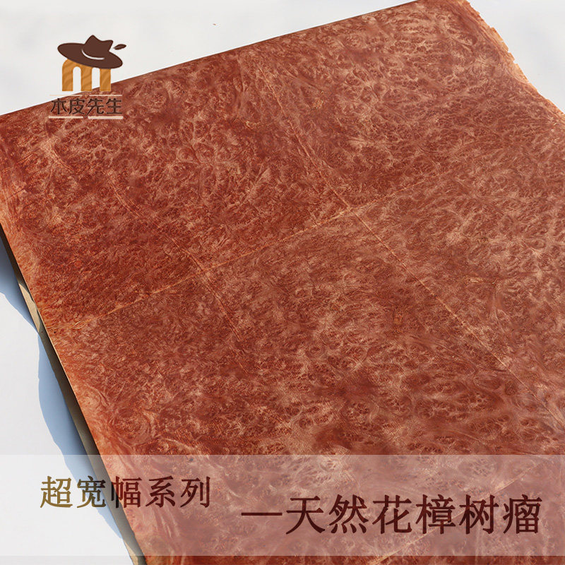 Large individual flower camphor tree pomegranate bark red flower camphor tree tumor bark rare pomegranate