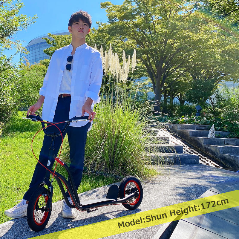 Japan MYPALLAS adult children scooter export Japan adult scooter two wheeler scooter