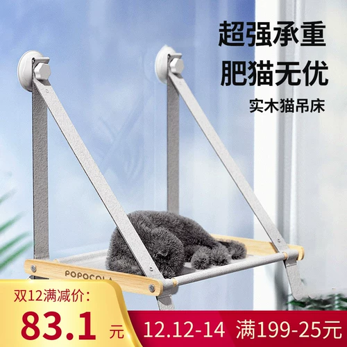 Кошка застряла на висящем гнездовом гнезде Стеклянное балкон Солнце Экспозиция солнечного артефакта