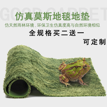 Horned frog mat Moss Rainforest mat Climbing pet snake Palace guard Horned Frog Moss Carpet Tortoise mat Landscape turtle Reptile