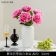 Комбинация комбинации Fanhua Ruomeng