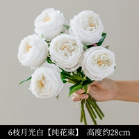 6 лунный свет бай 【Чистый цветочный зверь】