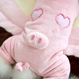 Nim Wilder Price Spring и осенью щенка с четырьмя грудью Тедди Бибели маленькие домашние домашние животные весна и осенние преобразования