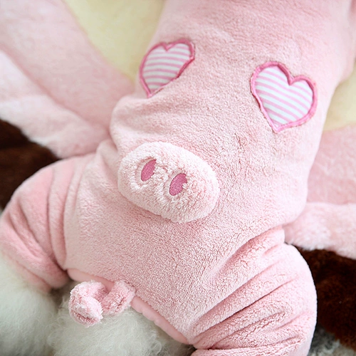 Nim Wilder Price Spring и осенью щенка с четырьмя грудью Тедди Бибели маленькие домашние домашние животные весна и осенние преобразования