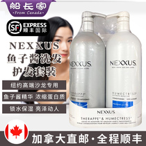 Canada NEXXUS caviar shampoo conditioner set