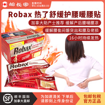 Canada Robax waist patch warm waist patch shoulder neck hot patch Hot Pack 6 pieces