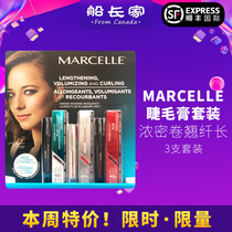 (SF International) Canadian MARCELLE Mascara Brush
