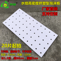 Fish pond hydropony floating plate No soil cultivation sparkling plate vegetable with hole hydroponic planting plate water type vegetable foam