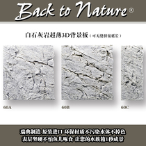 Sweden BTN white lime rock ultra-thin 3D water ethnic background plate reptile Amphibian Rainforest fish tank Nestereoscopic View plate