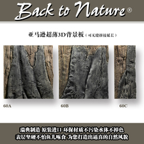 Swedish BTN Amazon ultra-thin 3D aquarium background board reptile aquatic rainforest fish tank three-dimensional landscaping board