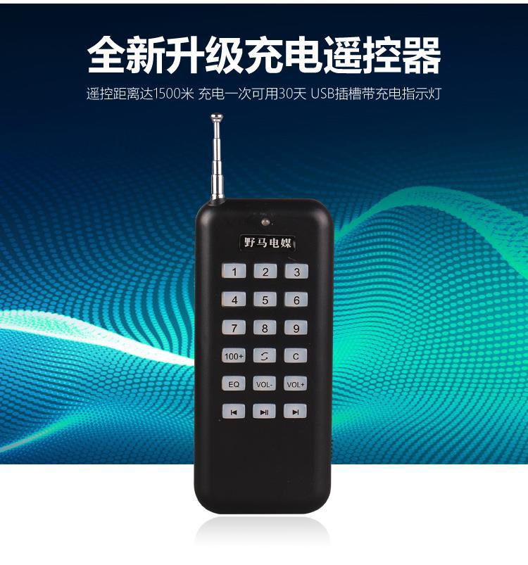 Wild Horse Matchmaker 6A 7A X8X9 Thyme E910 Wise Sound 898 Small Bee Charging Remote