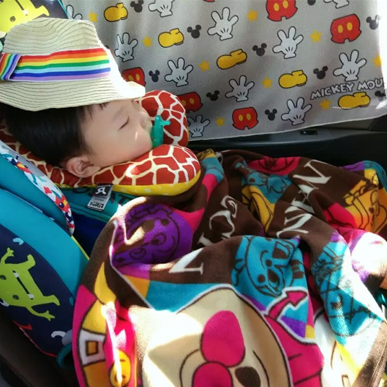 Japan car sunshade Car with baby window sunscreen side window sunshade children NAPOLEX insulation curtains