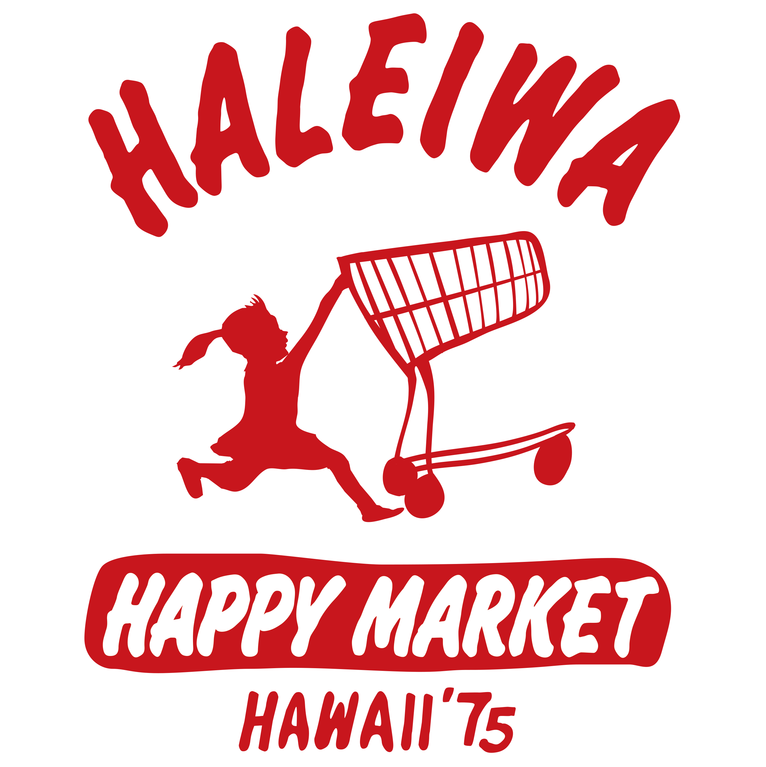 HALEIWA品牌店
