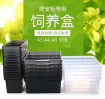 爬虫饲养盒A4爬宠盒A6守宫蜥蜴专用盒角蛙蛇蜘蛛玩具PVC爬柜抽屉