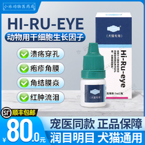 HI-RU pet cats and dogs stem cell growth factor corneal ulcer perforation repair damage dry eye eye drops