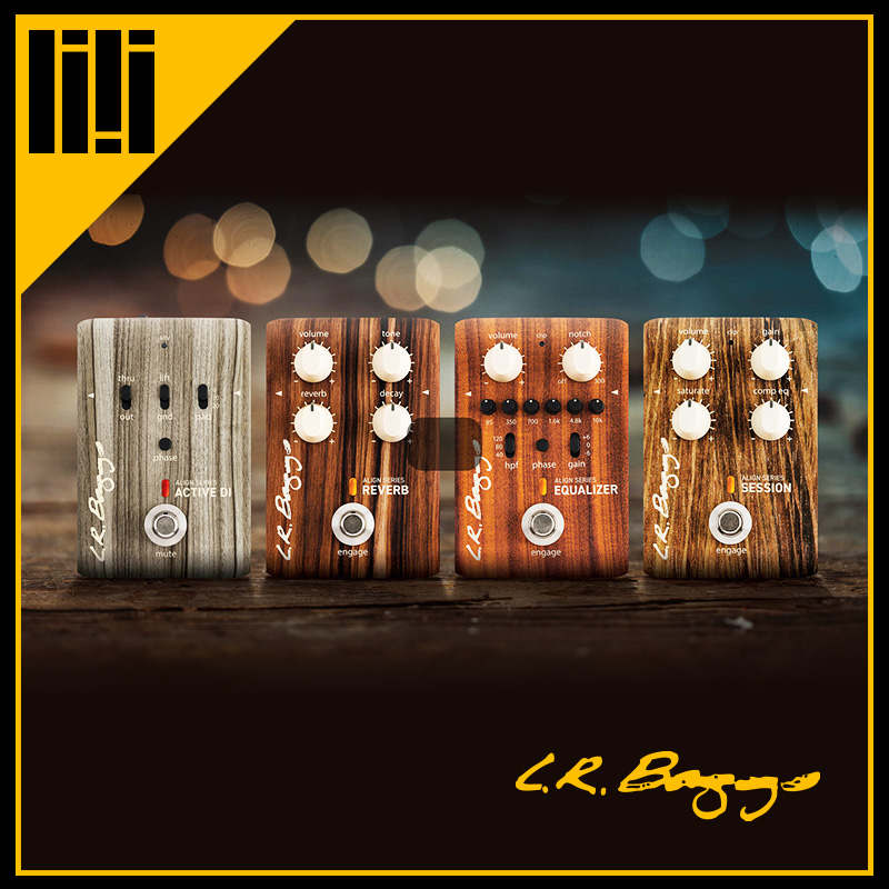 Dalian Logging L R Baggs Align Reverse EQ EQ EQ Pre - Acoustic Guitar Array Effect