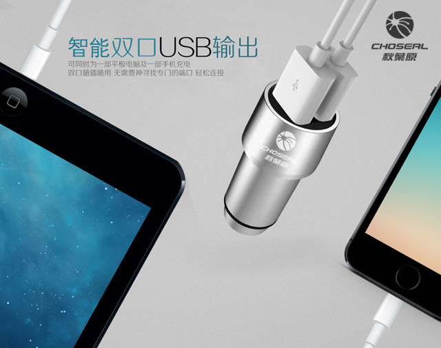 chargeur CHOSEAL 2A - Ref 1299696 Image 7