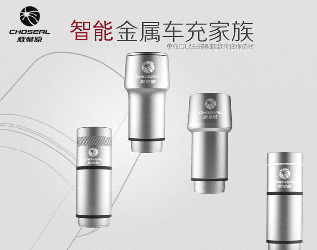 chargeur CHOSEAL 2A - Ref 1299696 Image 8