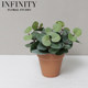 Nordic Artificial Plant Eucalyptus Small Potted Plant ins Industrial Office Desk Decoration Fake Grass Korean Style