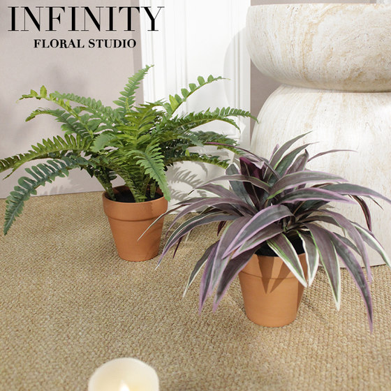 Simulated Boston Grass Green Plant Potted Indoor Living Room Desktop Ornament Fern Plant Fake Flower Decoration with Flower Pot