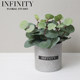 Nordic Artificial Plant Eucalyptus Small Potted Plant ins Industrial Office Desk Decoration Fake Grass Korean Style
