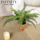 Simulated Boston Grass Green Plant Potted Indoor Living Room Desktop Ornament Fern Plant Fake Flower Decoration with Flower Pot