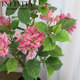 Artificial Bougainvillea Bonsai Decorative Floral Arrangement for Indoor Living Room Tabletop, Green Plant with Natural Feel Leaves, Natural Style
