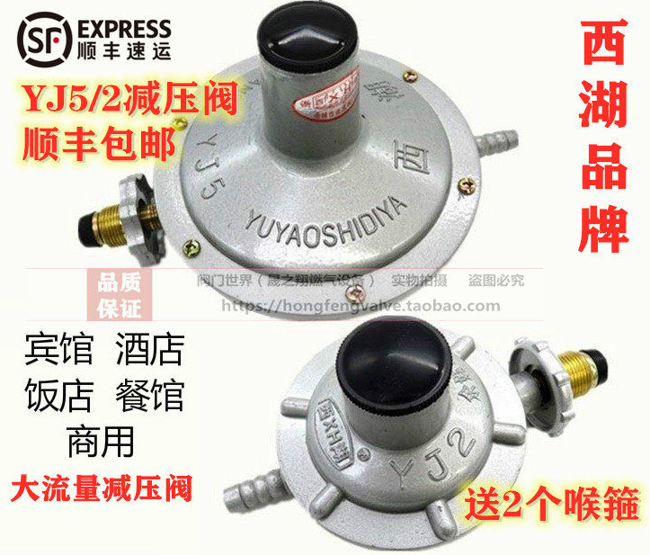 Large flow gas valve West Lake liquefied petroleum gas pressure regulator valve YJ5 cubic 2 cubic low pressure valve