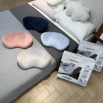 New Arrival from the Market: German Basf Memory Foam Lumbar Support