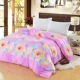 Một mảnh duy nhất của dày bông bông chăn quilt đúp sinh viên tăng nhám chăn quilt - Quilt Covers