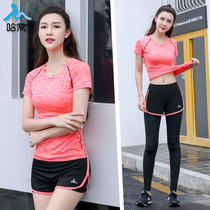 High-end yoga clothes women summer professional gym sports set outdoor morning running clothes quick-drying clothes large size loose