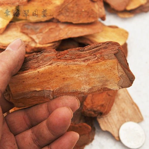 Положение сосновой чешуйки сосновой коры Phalaenopsis Tie Dendroboic Polynuts Pot Pot Cotus Potus Potus Pot Basin Basin Basin Basic