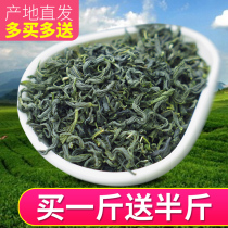 Green tea New tea Shandong fried youth tea fragrant sunshine sufficient alpine bulk 500g bags