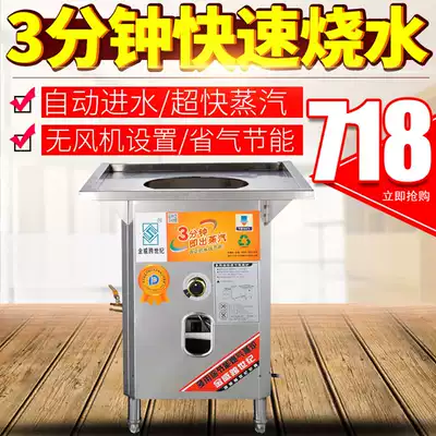 Cross-century steamer, high-efficiency and energy-saving steam furnace, gas steamer, gas steamer, Jinwei square furnace