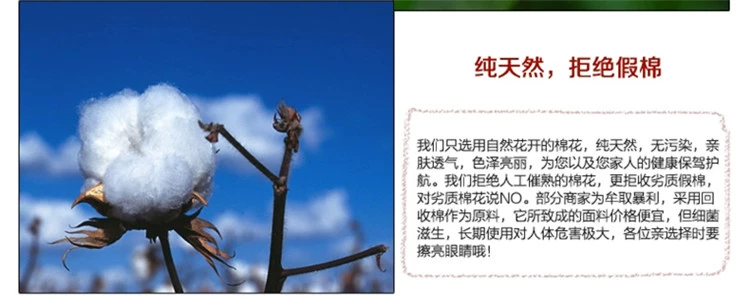 Rồng Rồng chăn hôn đỏ chăn đám cưới duy nhất mảnh thêu đám cưới hạnh phúc đôi trăm trẻ em chăn thêu - Quilt Covers chăn drap