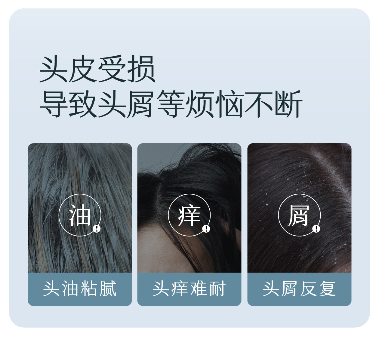 【中國直郵】 半畝花田 洗髮精 控油蓬鬆去屑止癢柔順改善乾枯毛躁 控油洗髮精 333g