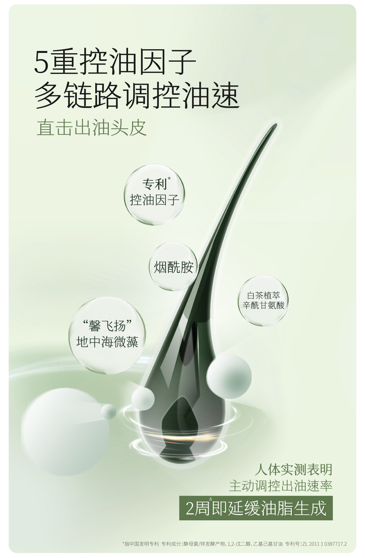 【中國直郵】 半畝花田 洗髮精 控油蓬鬆去屑止癢柔順改善乾枯毛躁 控油洗髮精 333g